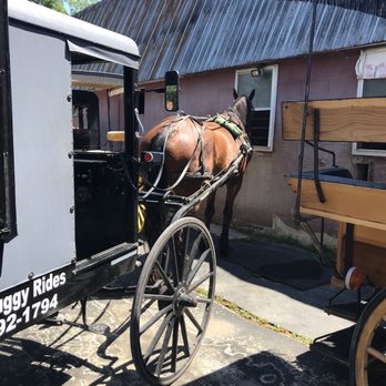 Abe's Buggy Rides - Buggy - Tours Near Me - Bird In Hand, Pennsylvania