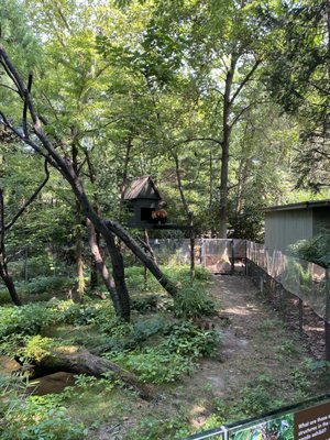 Prospect Park Zoo by null