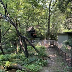 Prospect Park Zoo