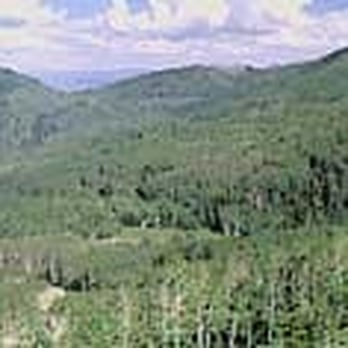 Colony White Pine Canyon - Real Estate Near Me - Park City, Utah
