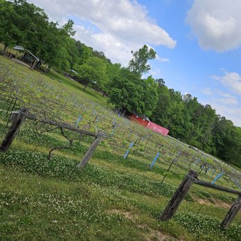 Ozan Vineyard & Winery - Wine Tours Near Me - Calera, Alabama Ozan Vineyard & Winery - Wine Tours Near Me - Calera, Alabama