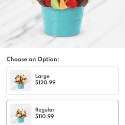 What I ordered What I ordered