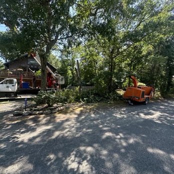 Driftwood Tree & Land services - Tree takedown - Landscaping Near Me