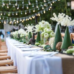 Perfect Events - green and white reception