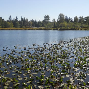 Lake Hills Greenbelt - Larsen Lake - Parks Near Me - Bellevue, Washington Lake Hills Greenbelt - Larsen Lake - Parks Near Me - Bellevue, Washington