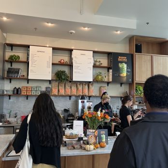 Dolcezza - 10/12/25 - Gelato Near Me - Fairfax, Virginia
