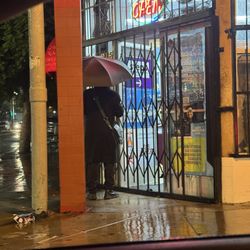 Major Liquor - Locked gate yet they're open