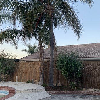 Elenes Tree Service - Tree Services Near Me - Rialto, California