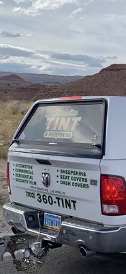 Studio Tint & Sheepskins