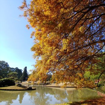 Memphis Botanic Garden - Botanical Gardens Near Me - Memphis, Tennessee Memphis Botanic Garden - Botanical Gardens Near Me - Memphis, Tennessee
