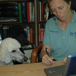 HolVet - Holistic Veterinary Services
