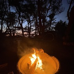Manchester Beach / Mendocino Coast KOA - Tent site #77