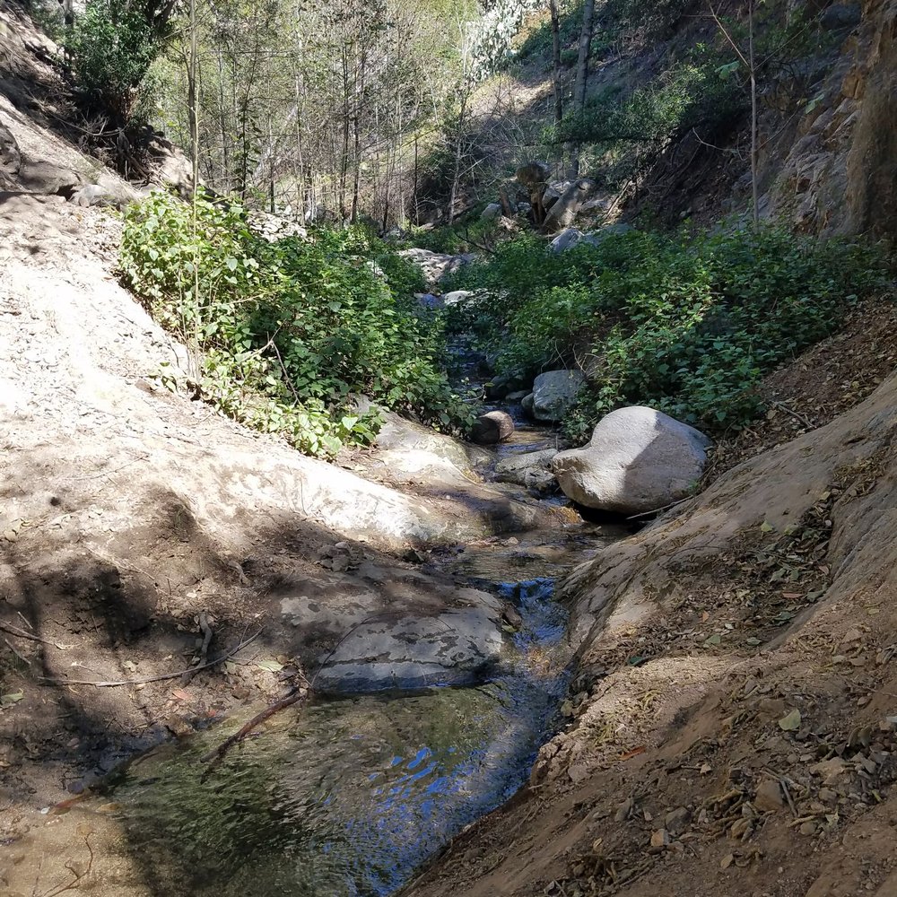 Millard Canyon - Parks Near Me - Altadena, California Millard Canyon - Parks Near Me - Altadena, California