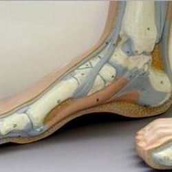 Ganley Podiatry Associates, PC