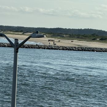 Harrison's Harbor Watch Restaurant - American Near Me - Ocean City, Maryland Harrison's Harbor Watch Restaurant - American Near Me - Ocean City, Maryland