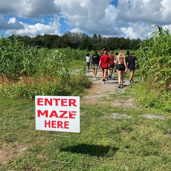 HarvestMoon Fun Farm - Corn maze - Attraction Farms Near Me - Masaryktown, Florida