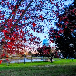 Kiwanis Community Park - Kiwanis Park -- view of water tower