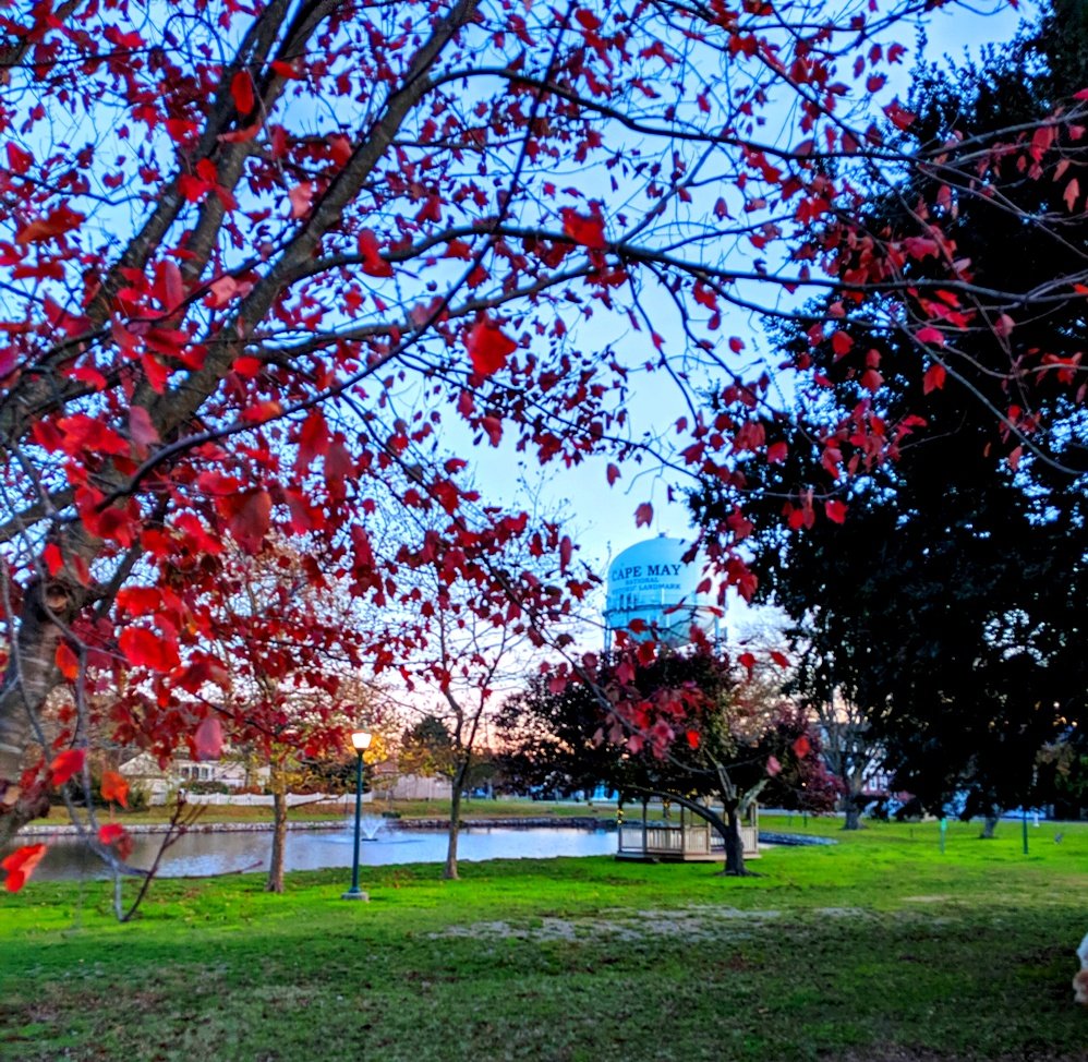 Kiwanis Community Park Logo
