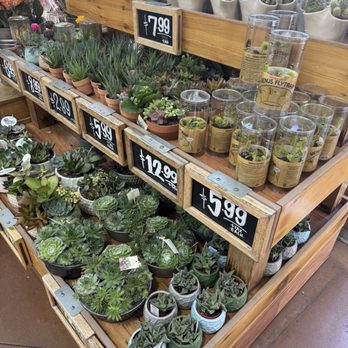 Trader Joe's - Grocery Near Me - San Diego, California Trader Joe's - Grocery Near Me - San Diego, California
