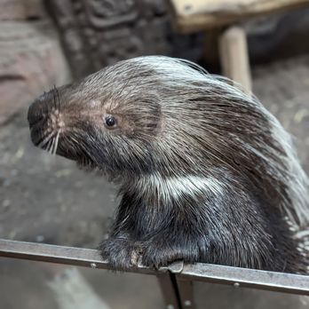 SeaQuest - Utah - Quillio! - Aquariums Near Me - Layton, Utah SeaQuest - Utah - Quillio! - Aquariums Near Me - Layton, Utah