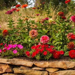 Billings Nursery & Landscaping