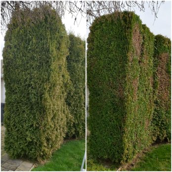 Ladybug Landscaping - Landscaping Near Me Ladybug Landscaping - Landscaping Near Me