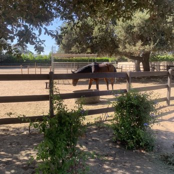 Bellaventage Farms - Different areas held horses to allow them to wander around. - Horseback Riding Near Me - Bradbury, California