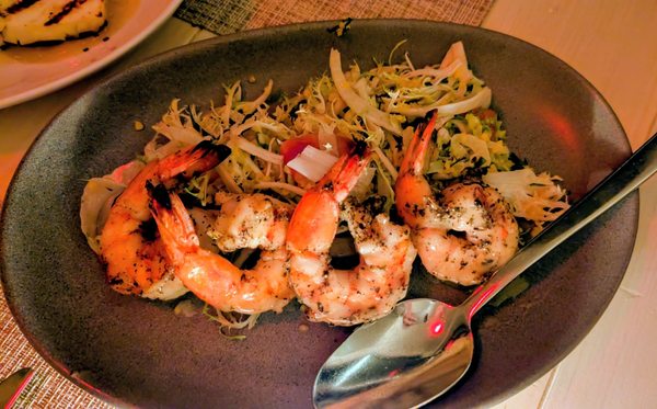 Elea by null Elea by null