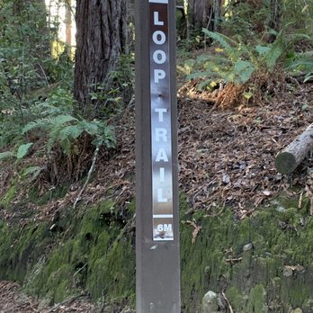 Lodato Park Trail - Hiking Near Me - Scotts Valley, California Lodato Park Trail - Hiking Near Me - Scotts Valley, California