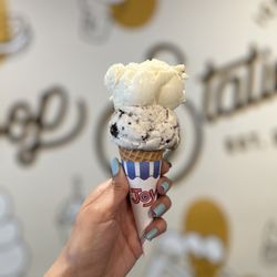Scoop Station - Double Scoop (~$6): Banana & Cookies n Cream flavors