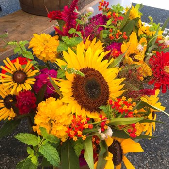 Bloomington Community Farmer's Market - Farmers Market Near Me - Bloomington, Indiana