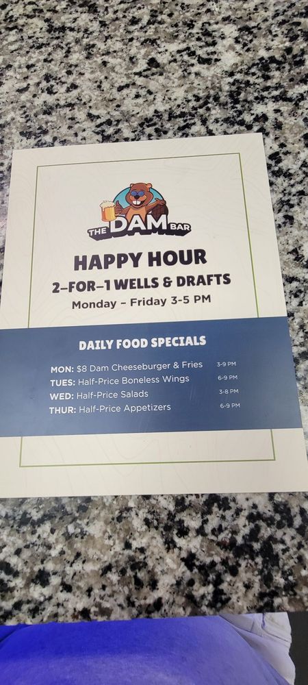 The Dam Bar & Grill Logo