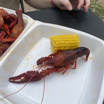 Hans' Crawfish Services - Look at this monster! - Cajun/Creole Near Me - Tomball, Texas Hans' Crawfish Services - Look at this monster! - Cajun/Creole Near Me - Tomball, Texas