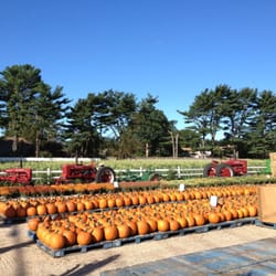Meyer's Farm Stand - Pumpkin time!