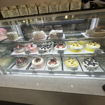 Tous Les Jours - Bakeries Near Me - Newton, Massachusetts Tous Les Jours - Bakeries Near Me - Newton, Massachusetts