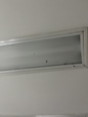 Institute of Skin and Body