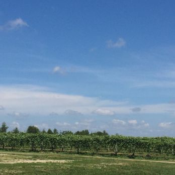 Vahling Vineyards - Wineries Near Me - Stewardson, Illinois Vahling Vineyards - Wineries Near Me - Stewardson, Illinois