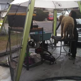 Set up in driveway for groom and bath Set up in driveway for groom and bath