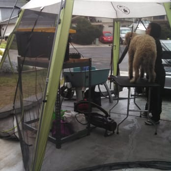 All Fur Pooch - Set up in driveway for groom and bath - Dog Walkers Near Me All Fur Pooch - Set up in driveway for groom and bath - Dog Walkers Near Me