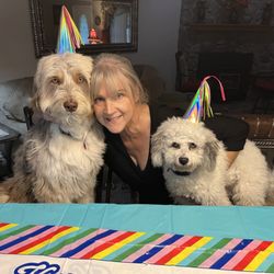 Birthday Party Dog Performers - Jozie and Lily making a birthday party special.