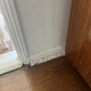 3 Maids - After a "deep cleaning". - Home Cleaning Near Me - Los Angeles, California 3 Maids - After a "deep cleaning". - Home Cleaning Near Me - Los Angeles, California