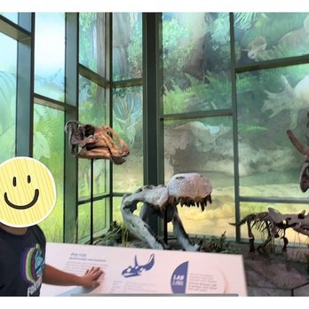 Witte Museum - Museums Near Me - San Antonio, Texas Witte Museum - Museums Near Me - San Antonio, Texas