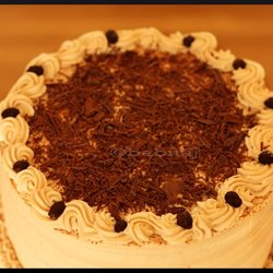 Cardamom Cakes - Scrumptious Tiramisu Cake with Handmade Chocolate Bark  and Chocolate Covered coffee beans