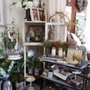 Photo of Back in Thyme Vintage Design