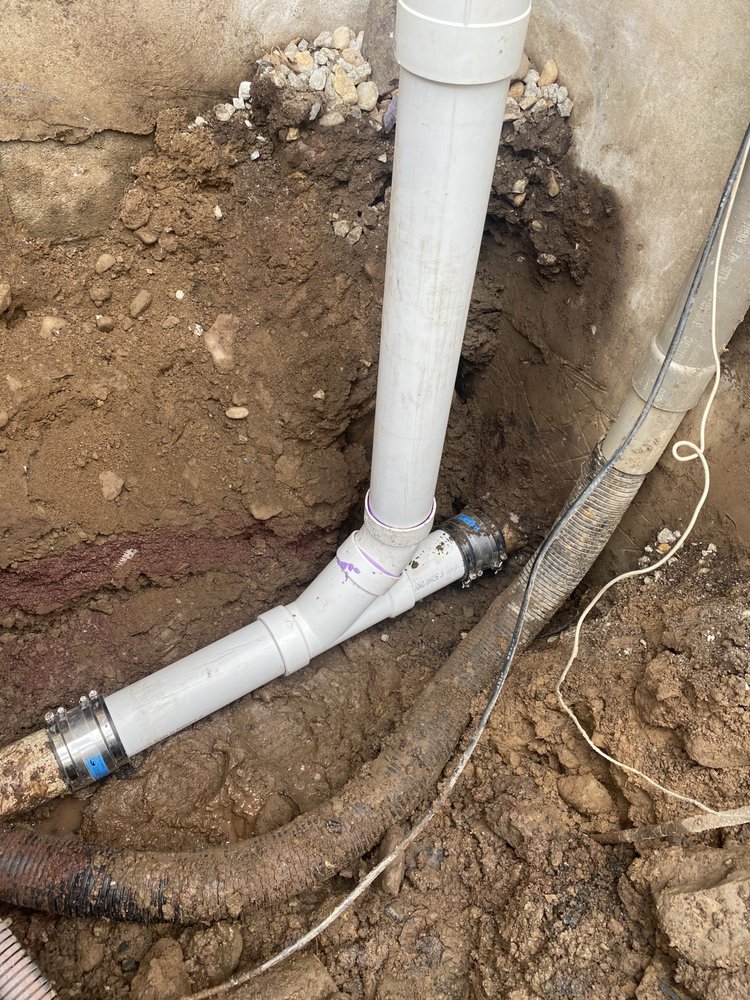 Slide of American Rooter