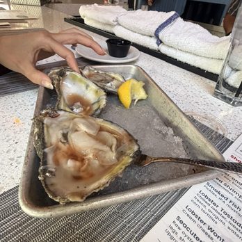 Atlantic Beer & Oyster - Seafood Near Me - Winter Park, Florida Atlantic Beer & Oyster - Seafood Near Me - Winter Park, Florida
