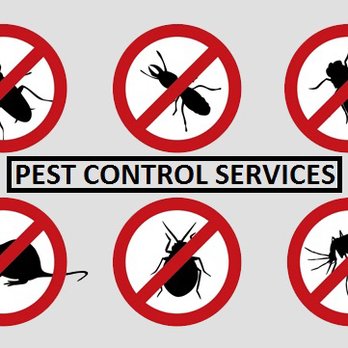 Ty’s Pest Control - Pest Control Near Me - Opa-locka, Florida Ty’s Pest Control - Pest Control Near Me - Opa-locka, Florida