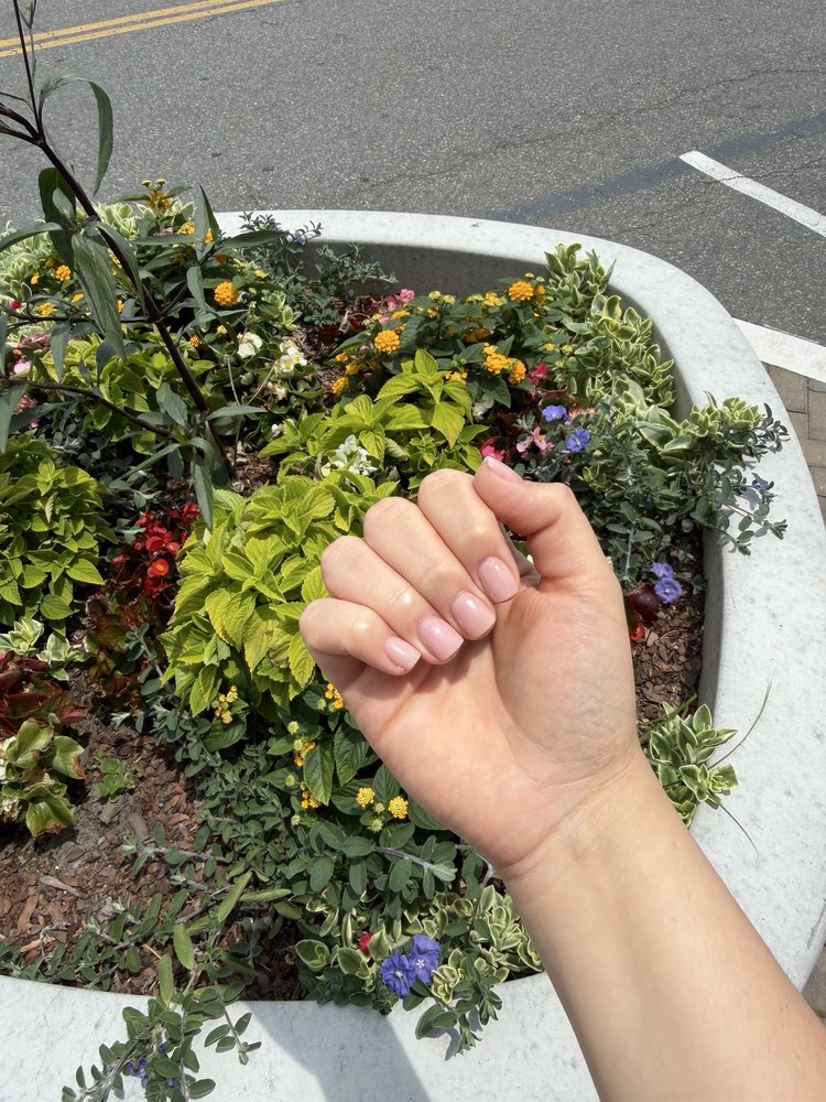 Posh Nail Spa Logo
