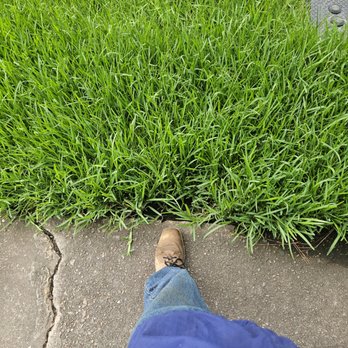 GQ Landscaping & Lawn Care Services - Irrigation Near Me - Splendora, Texas GQ Landscaping & Lawn Care Services - Irrigation Near Me - Splendora, Texas