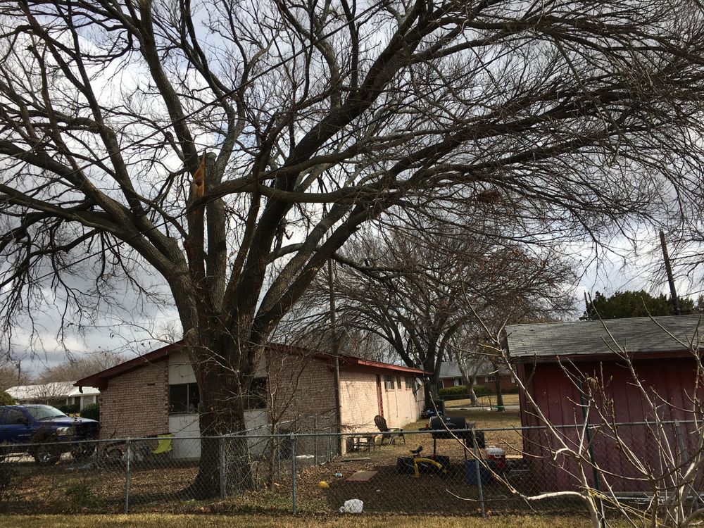 REAL STAR PROPERTY MGMT Updated August 2024 10 Photos & 24 Reviews